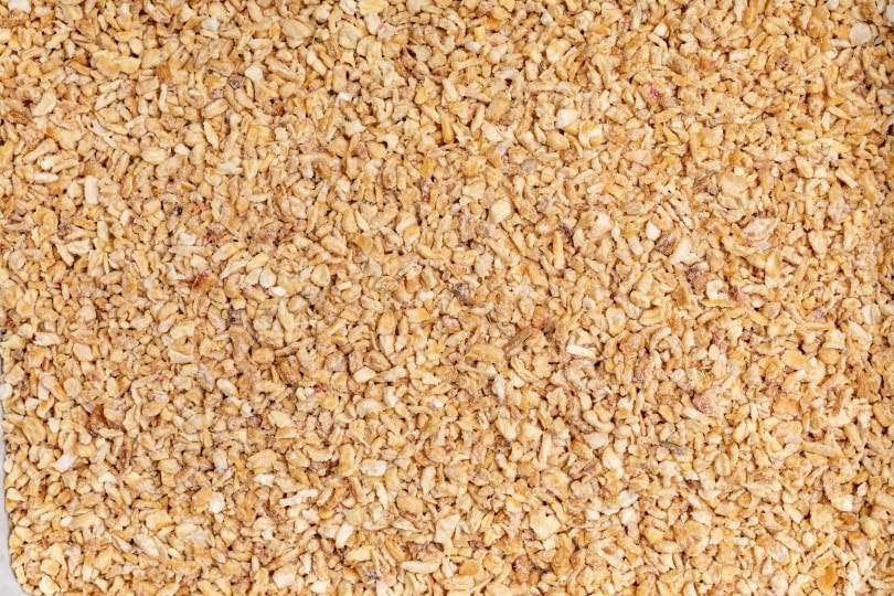 Kukuřičné stelivo pro kočky_Nynke van Holten_Shutterstock