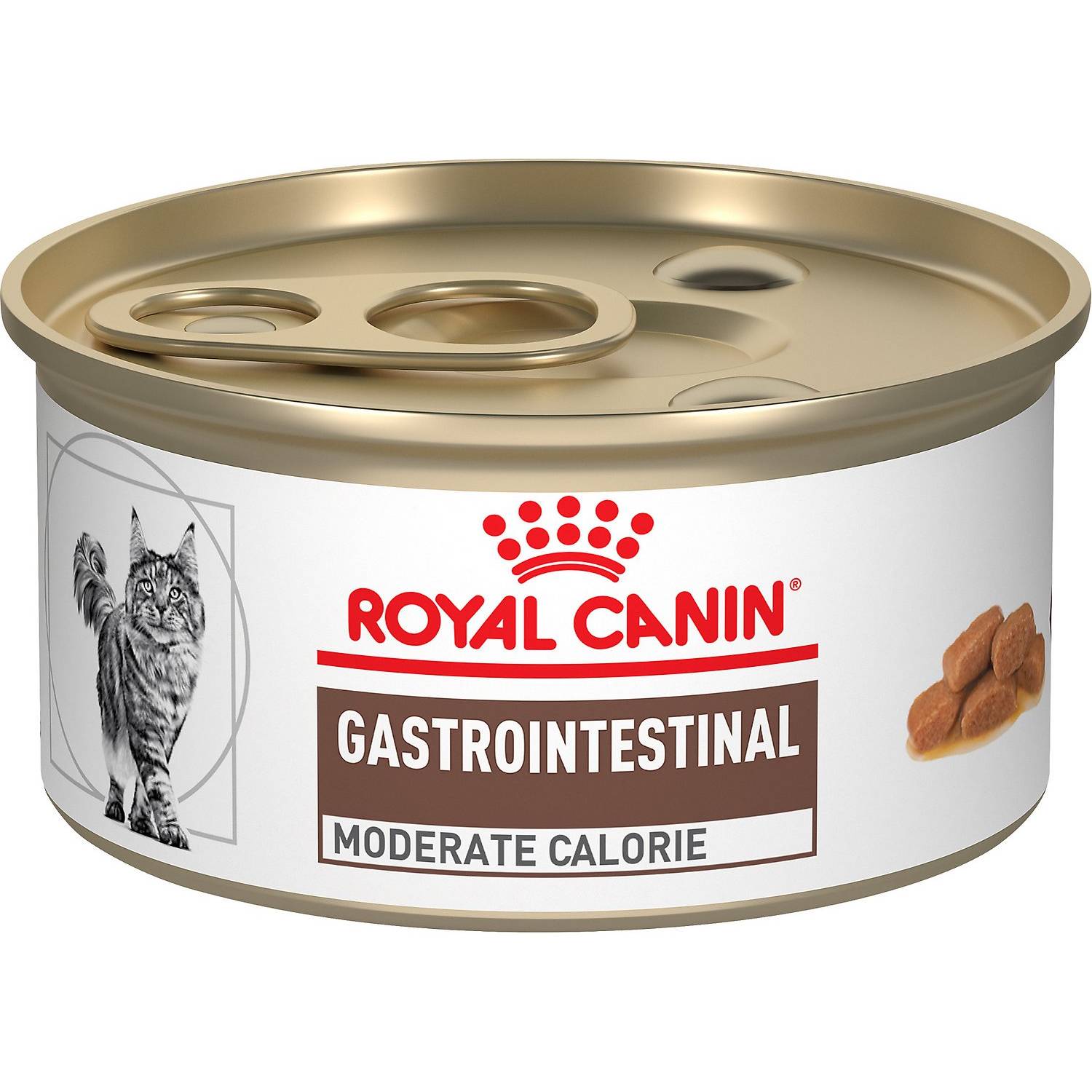 Royal Canin Gastrointestinal Střední kalorie (1)
