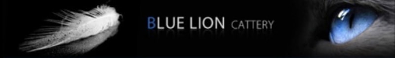 Logo chovatelské stanice Blue Lion