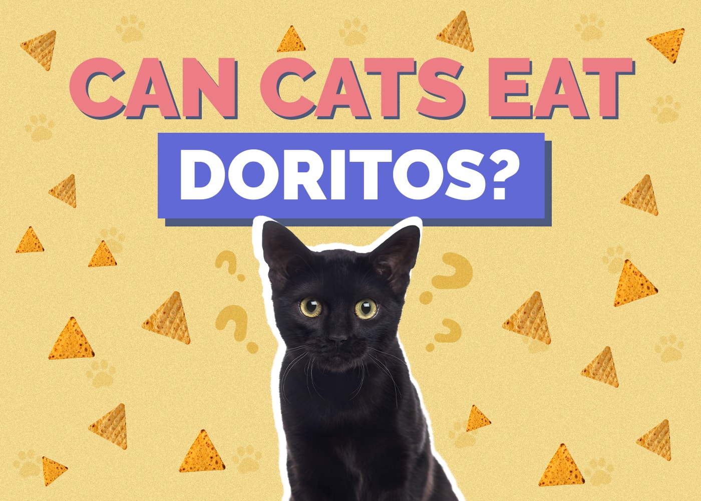 Mohou kočky jíst doritos