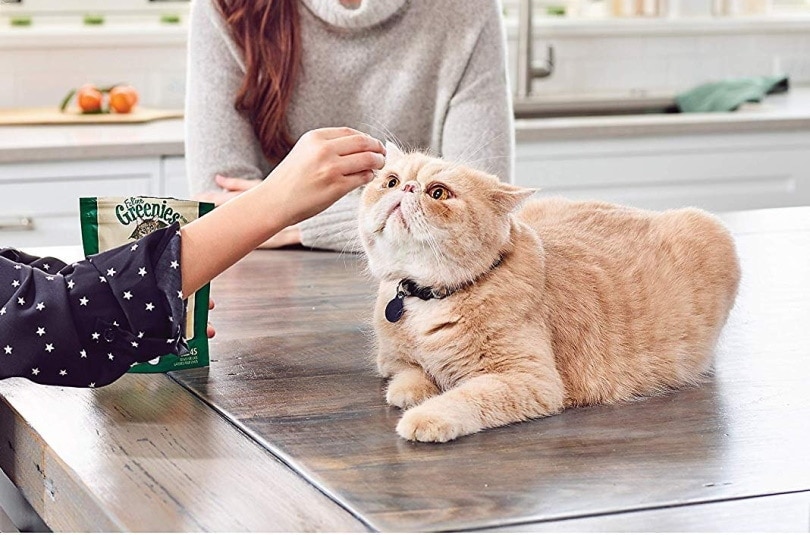 Greenies Feline SmartBites pamlsky pro kočky se zdravou kůží a srstí