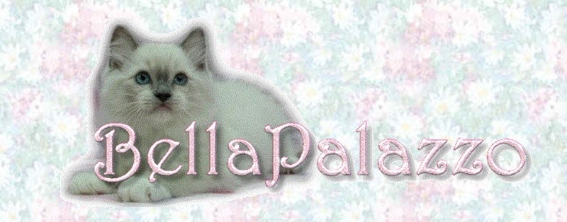 Logo Bella Palazzo Ragdoll Cats