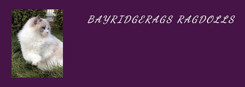 Logo Bayridgerags Ragdolls