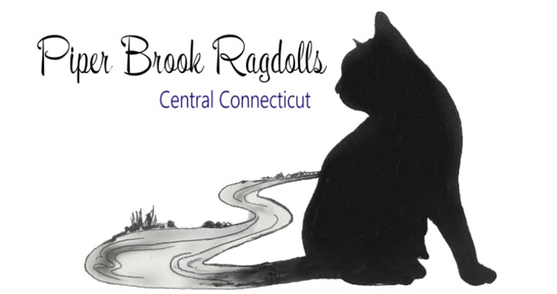 Logo Piper Brook Ragdolls