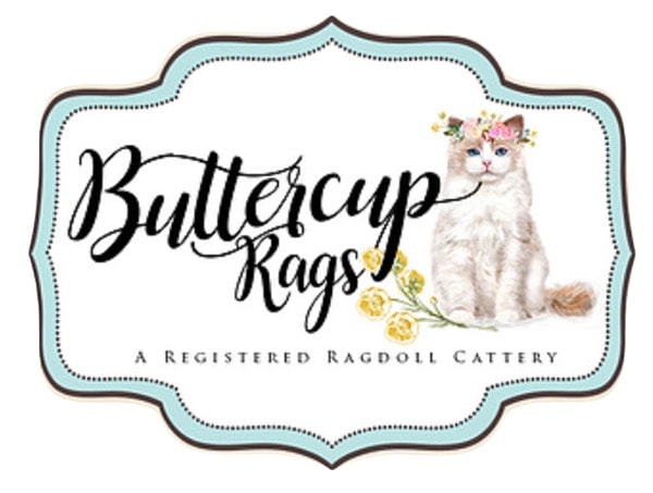 Logo Buttercup Rags