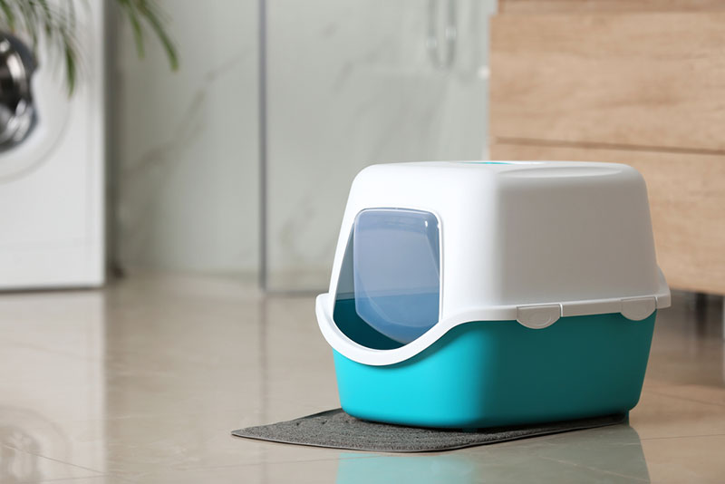 kočičí odpadkový box na podlaze v koupelně