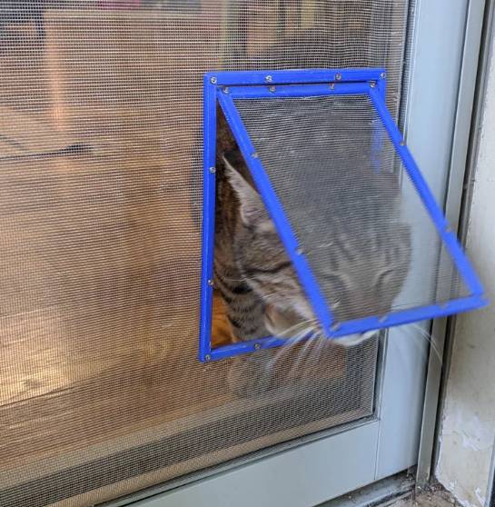 DIY jednoduchá síťová dvířka pro kočky