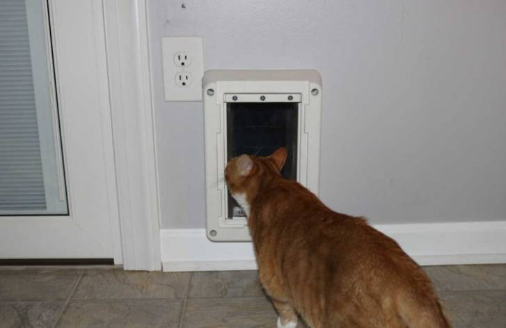 DIY kočičí dvířka ve zdi