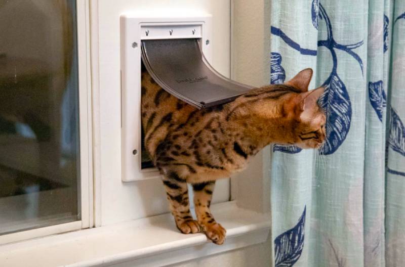 DIY vložka do dvířek pro kočky pro horizontální posuvné okno