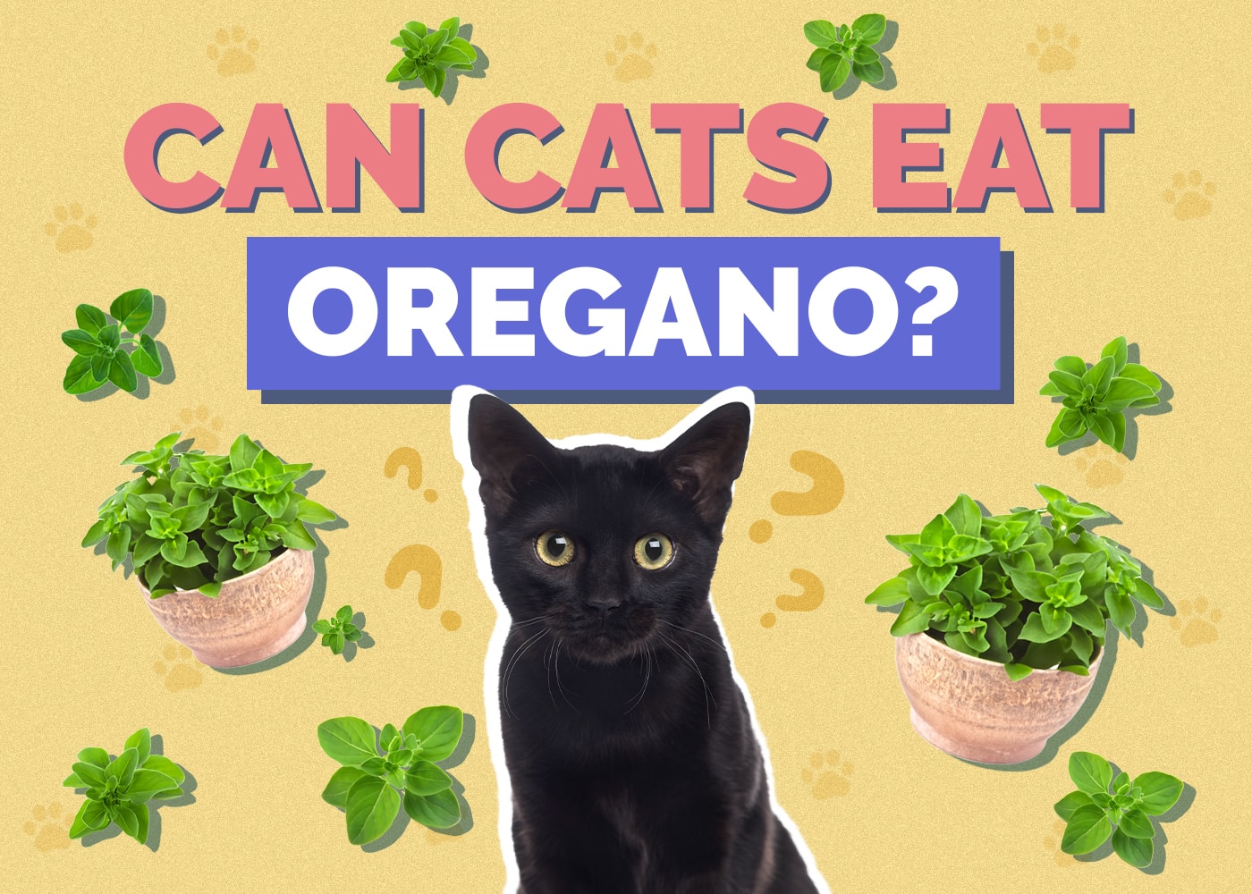 Mohou kočky jíst oregano