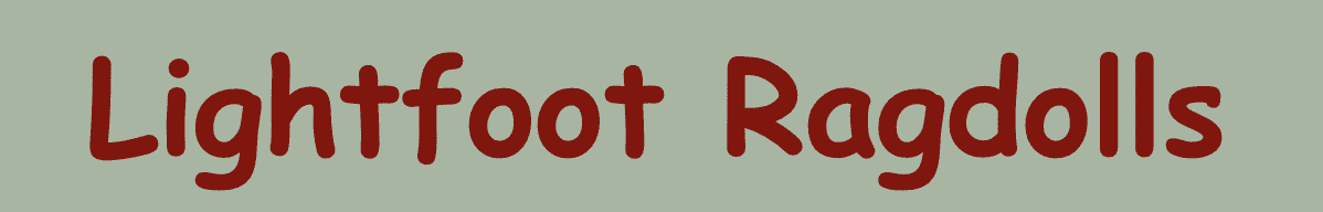 Lehkonohí ragdollové