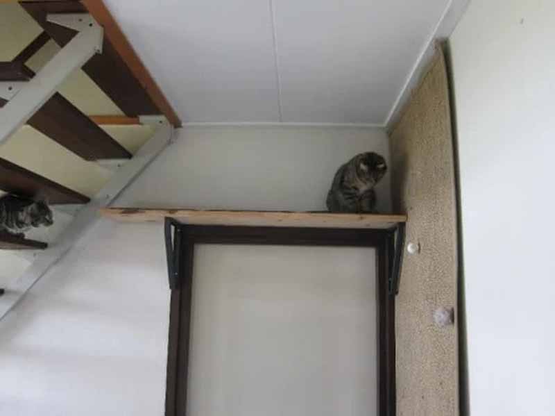 DIY Cat Wall hřiště