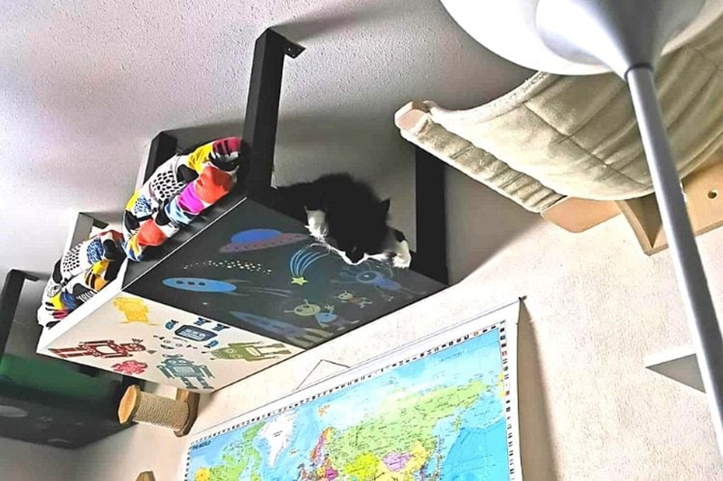 DIY Cat Wall hřiště