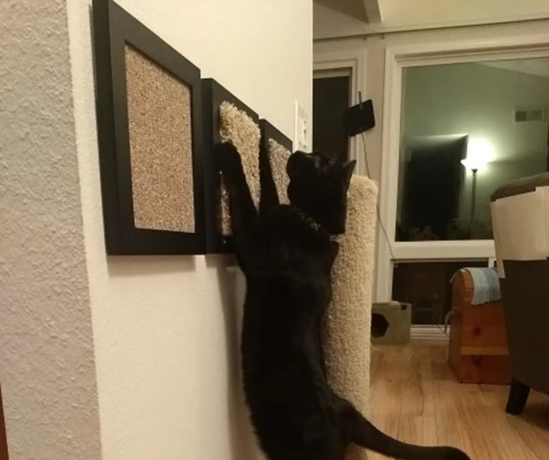 DIY Cat Wall hřiště
