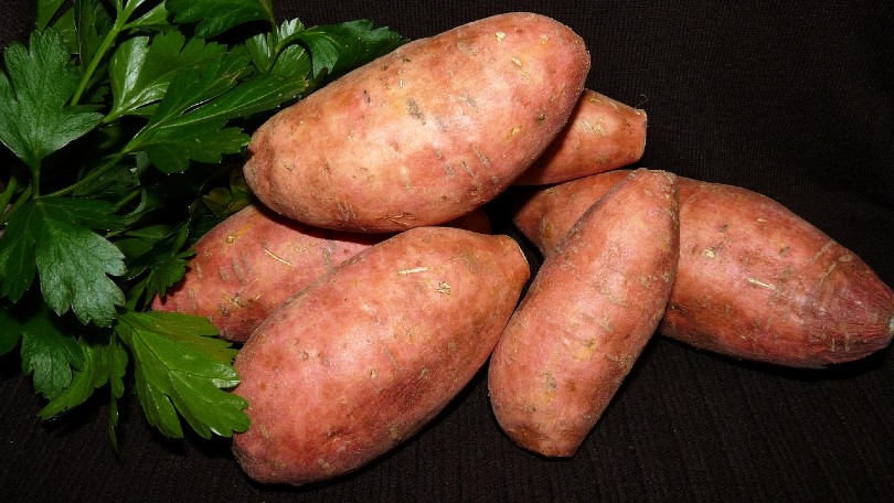 Brambory.