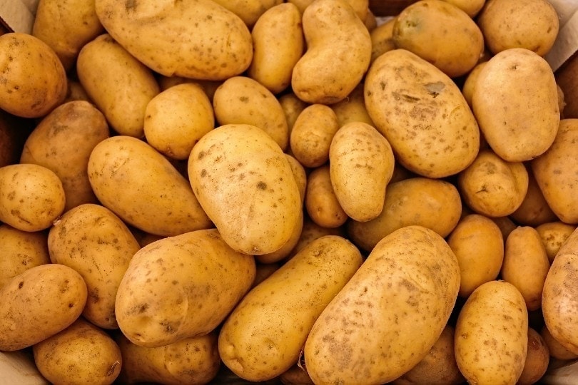 Mnoho brambor.