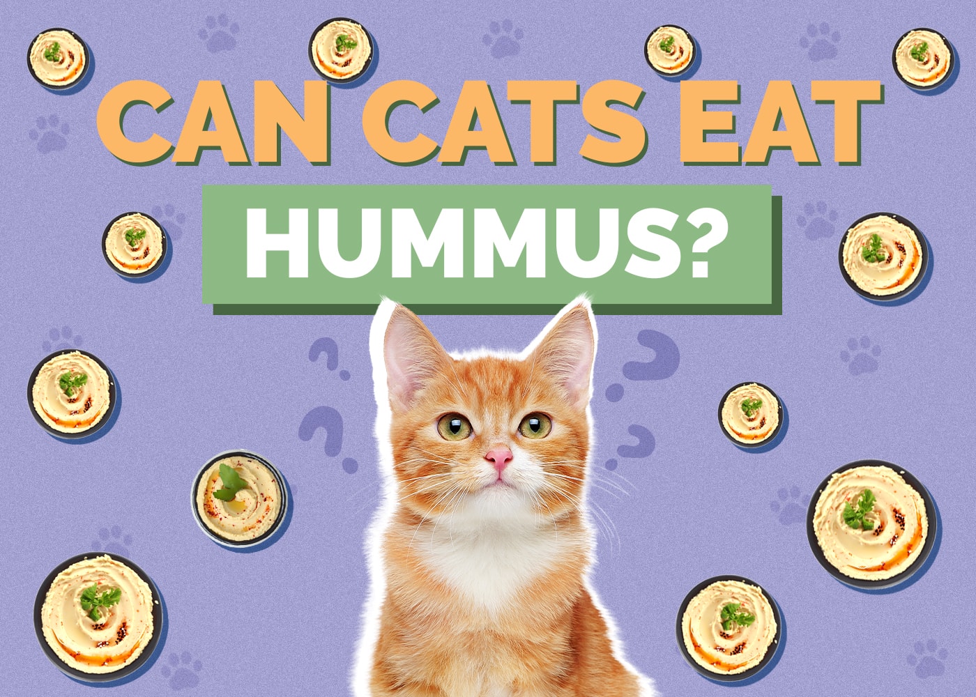 Mohou kočky jíst hummus