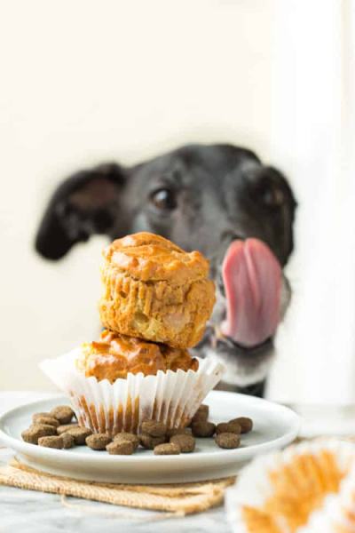 Single Serving Dog Cupcake