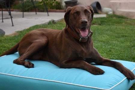 Pelíšek pro psy Hero Pet Beds
