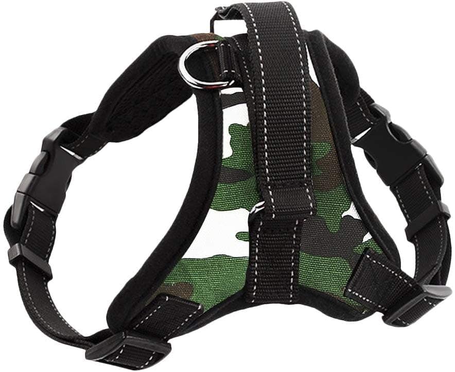 FakeFace