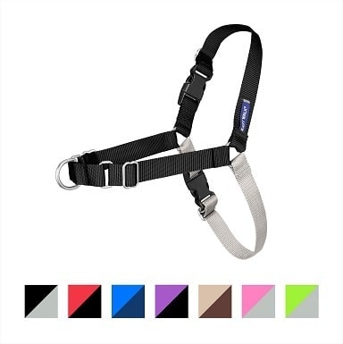 Postroj pro psy PetSafe Easy Walk