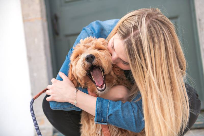 labradoodle pes a žena venku na balkóně