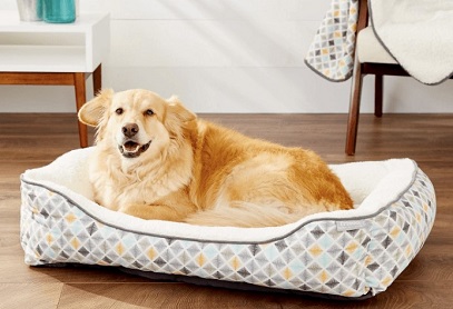 Labrador na Dog Bolster