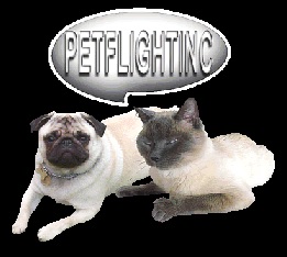 logo pet flight inc
