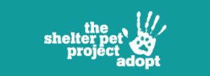nadace petco