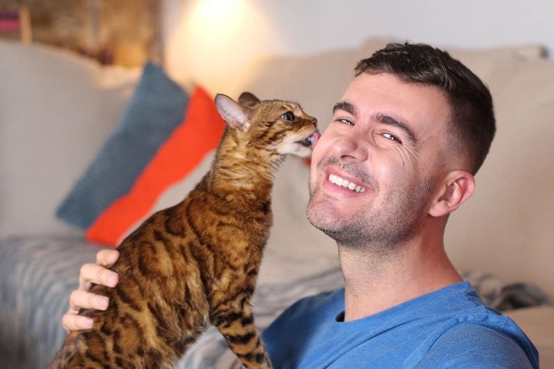 Katze leckt Mann