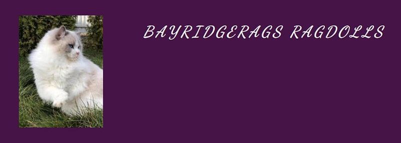 Logotipo de Ragdolls de Bayridgerags