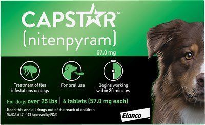 Köpekler için Capstar Pire Oral Tedavisi