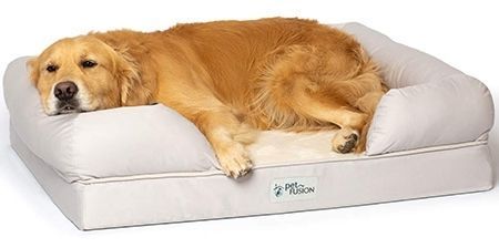 Cama grande para perros PetFusion con espuma viscoelástica sólida 4