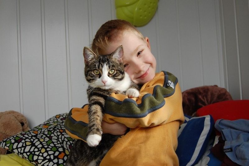 petit garçon étreignant son chat