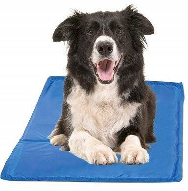 Knuffels voor huisdieren 9740