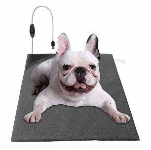Tophie Honden