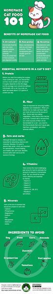 hjemmelaget kattemat 101 infografikk