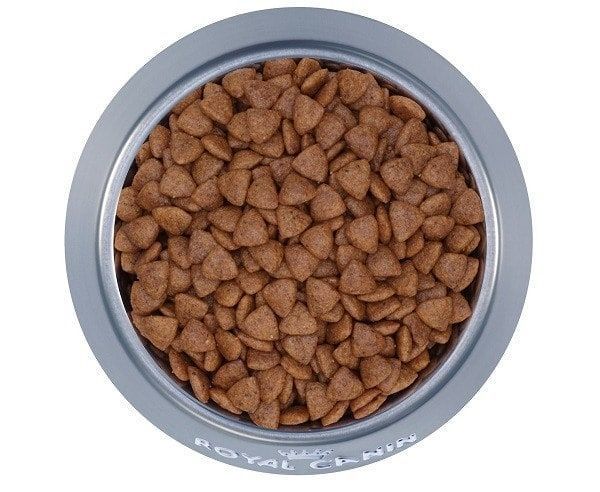Royal Canin