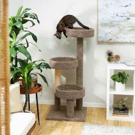 Frisco Tapijt Houten Krabpaal