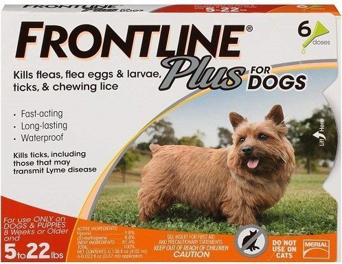 frontlinie