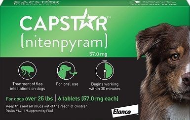 Capstar CA4925Y07AMZ1