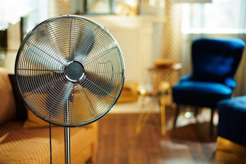 Detailní záběr na pracovní elektrický stojací ventilátor v moderním domě za slunečného horkého letního dne