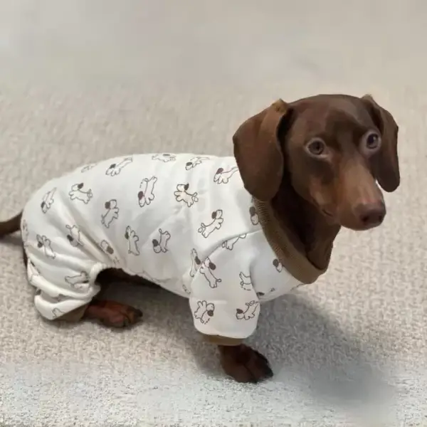 Dachshundar í fötum