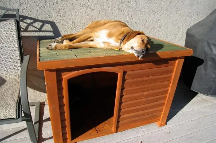 Perrera grande para perros al aire libre