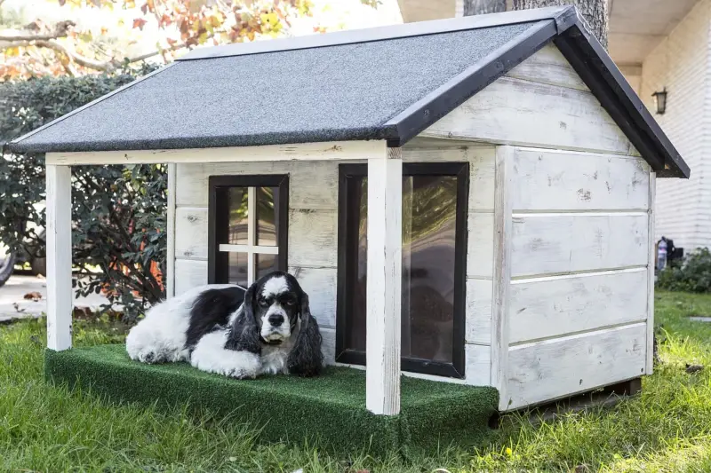 Perrera grande para perros al aire libre