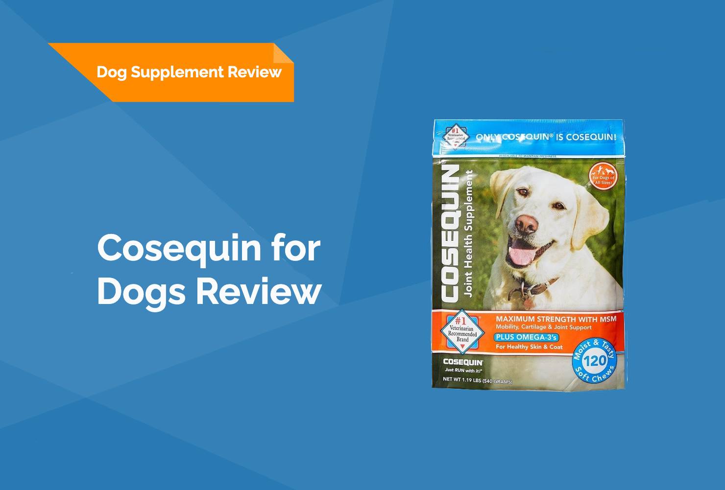 Cosequin for Dogs Review 2023 (Vet Review)