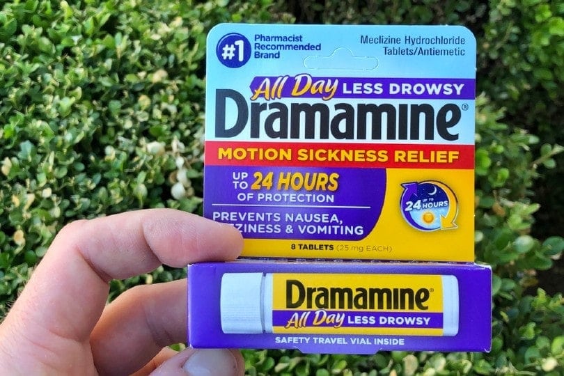 Dramamine pro psy: Použití, dávkování, vedlejší účinky (odpovědi veterináře)