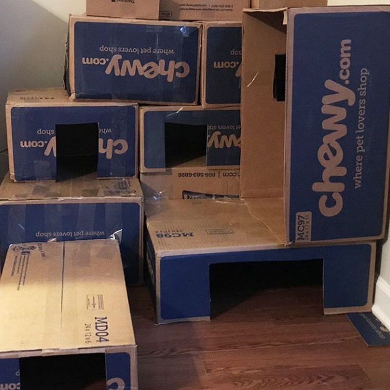 DIY kartonový domeček pro kočky