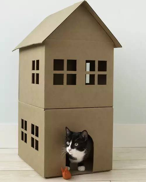 DIY Jak vyrobit kartonový domeček pro kočky