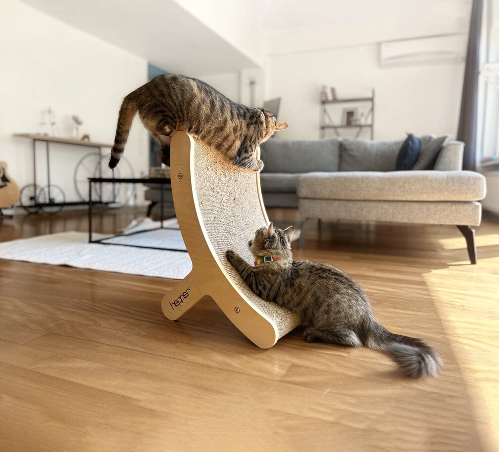 Tony a Cheetah hrají na Hp Hi Lo Cat Scratcher